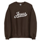 Dachshund sweatshirt with Jesus and wiener dogs design in dark chocolate, front view