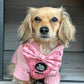 long haired dachshund wearing a pink sweater with a bow tie and pink bow pattern woof and ween harness
