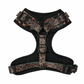 Doxie in Black Duck Camo harness, wiener dog outdoor gear