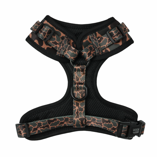 Doxie in Black Duck Camo harness, wiener dog outdoor gear