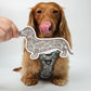 Duck Camo dachshund bumper sticker on car bumper