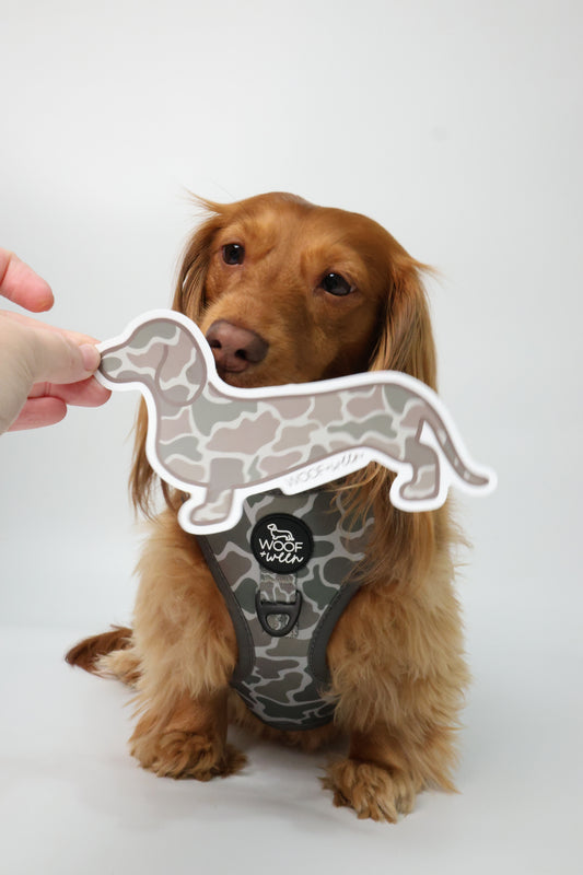Duck Camo dachshund bumper sticker on laptop