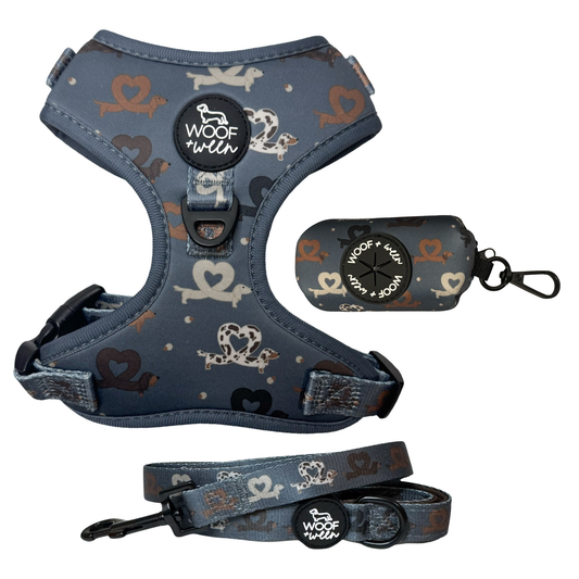 Dachshund heart print dog harness, leash and waste bag holder walk bundle for doxie lovers