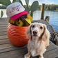 Dachshund Hat - Loves weenies and America too