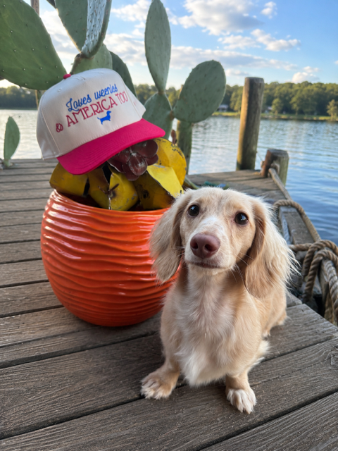 Dachshund Hat - Loves weenies and America too
