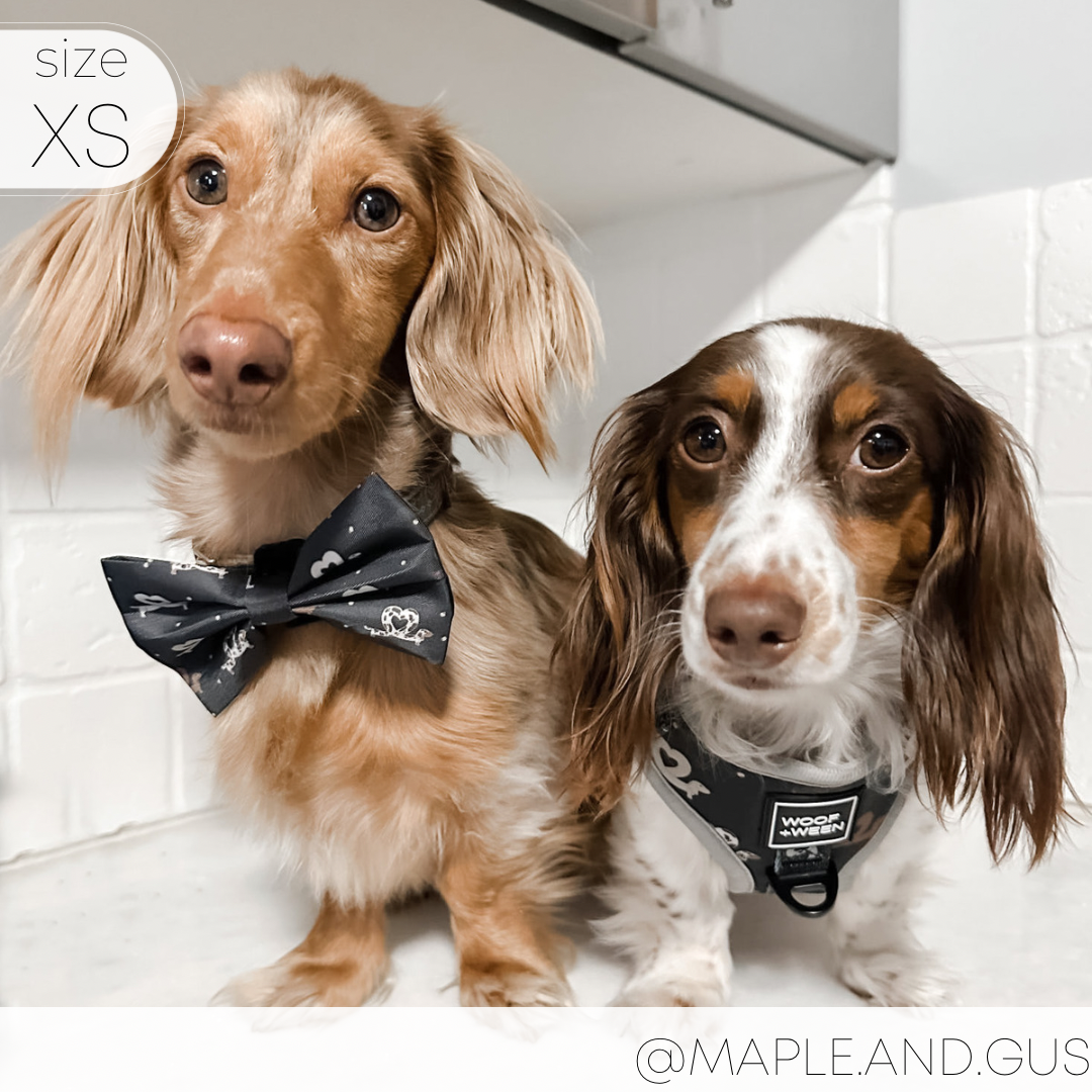 Weiner sales dog harness