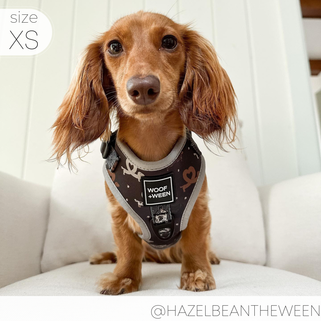 Adjustable Harness I HEART DACHSHUNDS