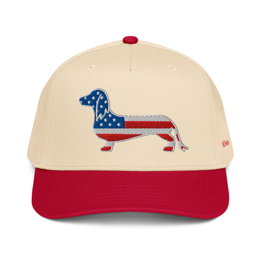 USA Flag shaped dachshund embroidered hat for july fourth