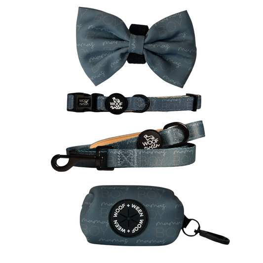 Blue and tan Mamas Boy dog collar, bow, leash and waste bag holder accessory bundle