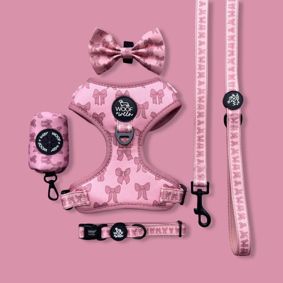 Pink dog harness, leash, collar, and bow tie set on a pink background