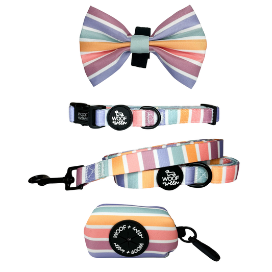 Rainbow striped dog collar, bow, leash and waste bag holder accessory bundle