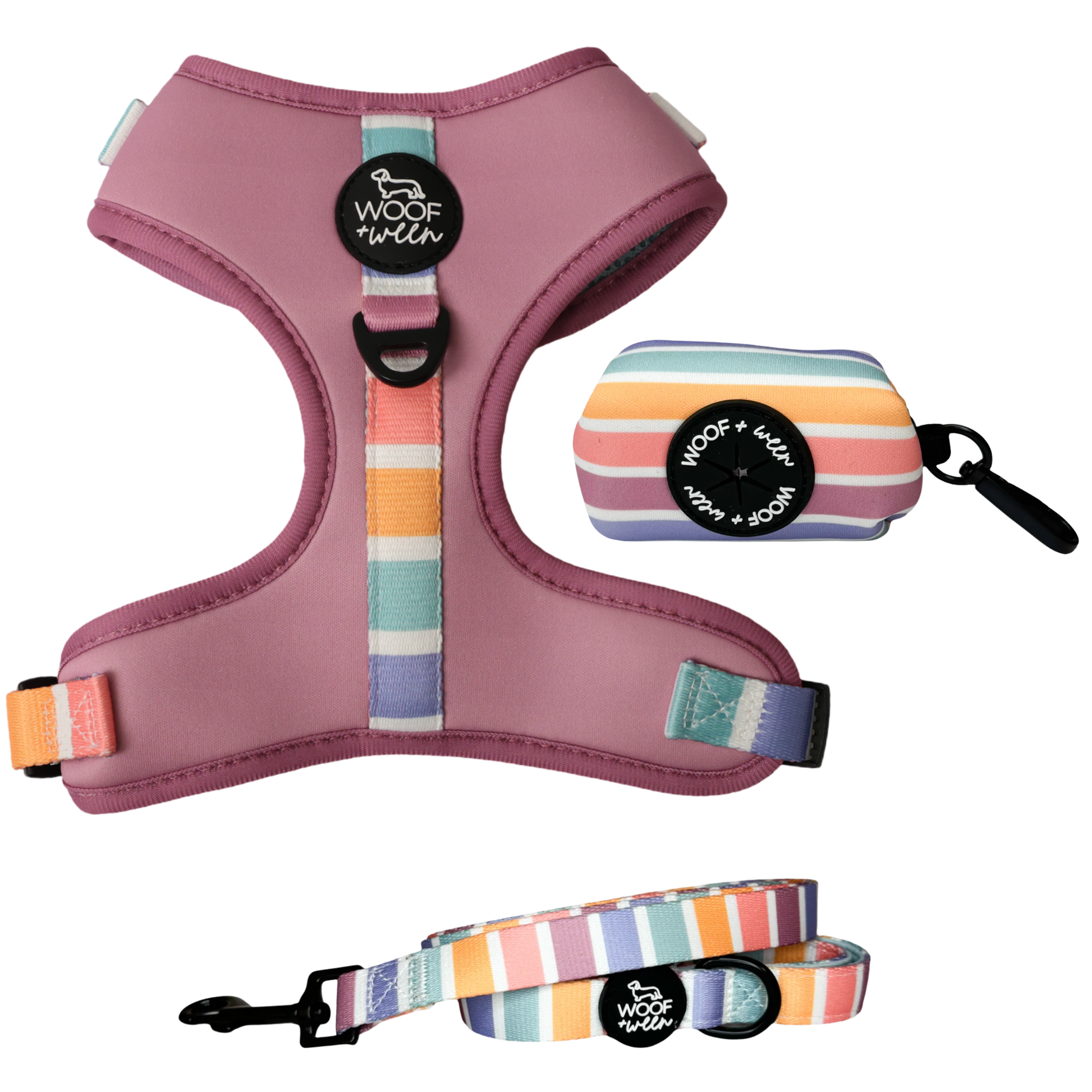 Rainbow striped dog harness, leash and waste bag holder walk bundle
