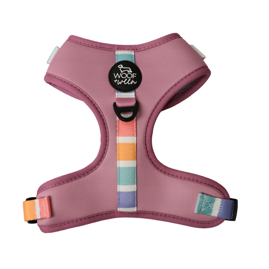 Pink dog harness with colorful striped pattern on a white background