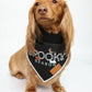 A dachshund wearing a black bandana with 'SPOOKY SEASON' printed in white and orange with dachshunds in halloween costumes