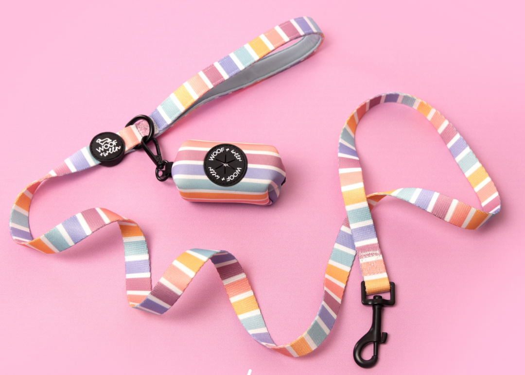 woof and ween striped dog leash