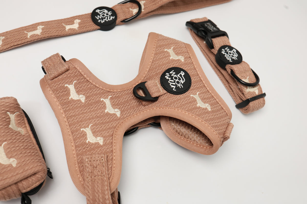 Sweater Weather dachshund harness bundle in taupe knit with cream embroidered doxies, view 2