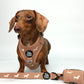 Sweater Weather knit dachshund harness and waste bag holder with embroidered doxies