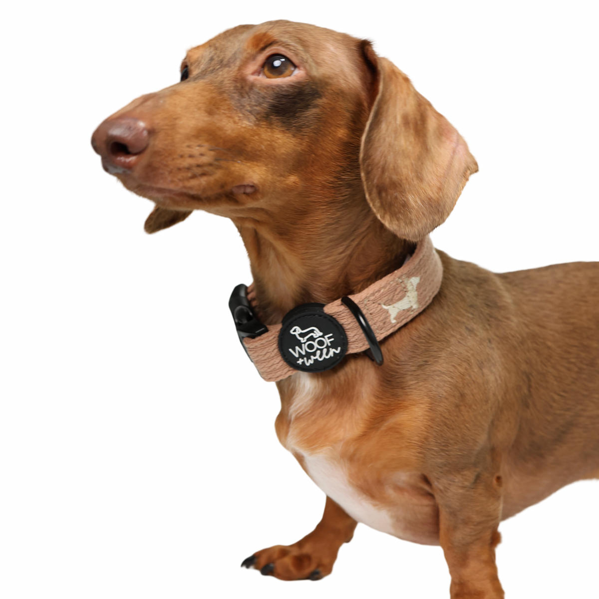 Sweater Weather knit doxie collar with embroidered wiener dogs, view 2