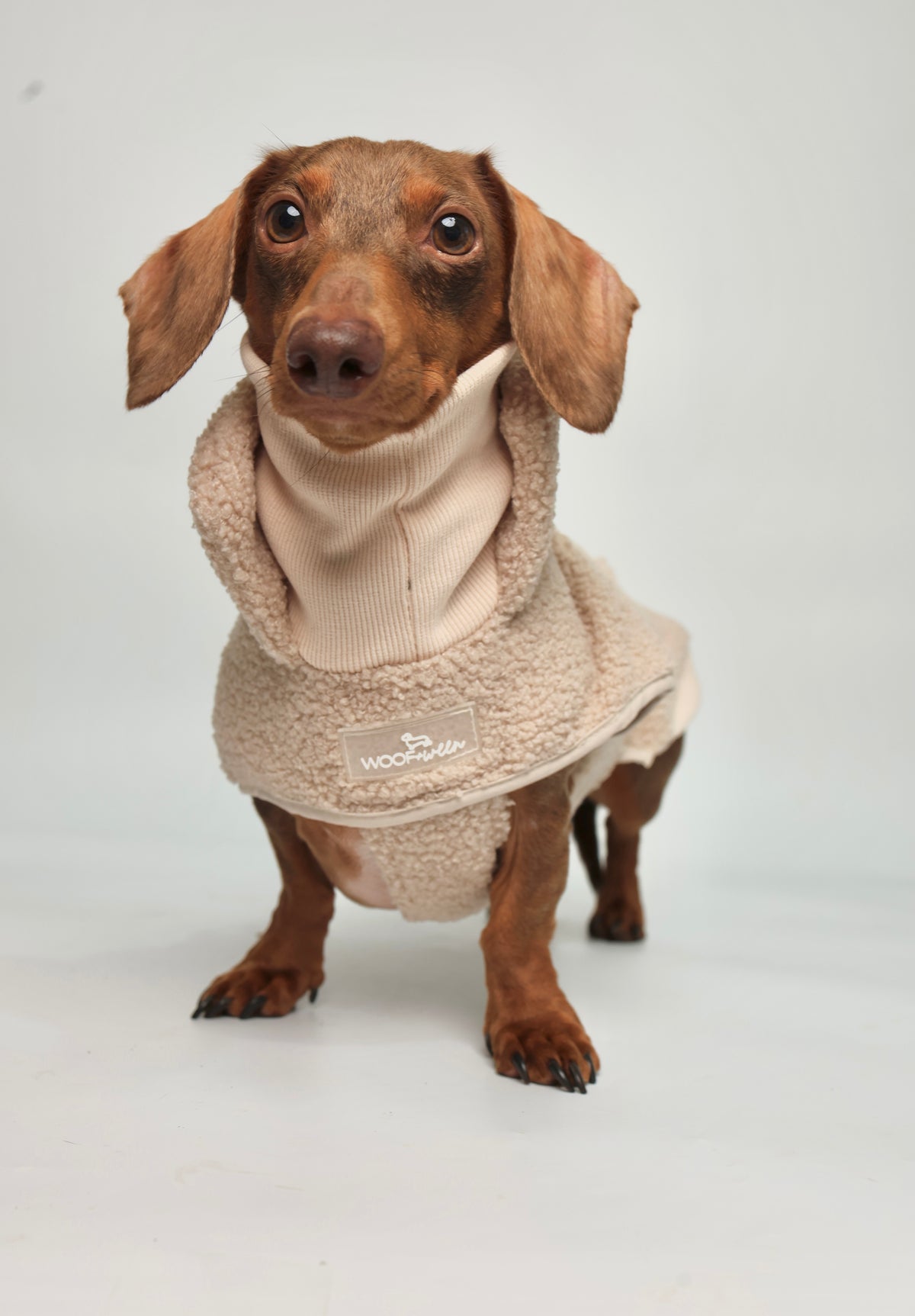 Sweater Weather ultimate dachshund bundle with tan sherpa coat and matching knit harness, leash, collar and waste bag holder, view 5