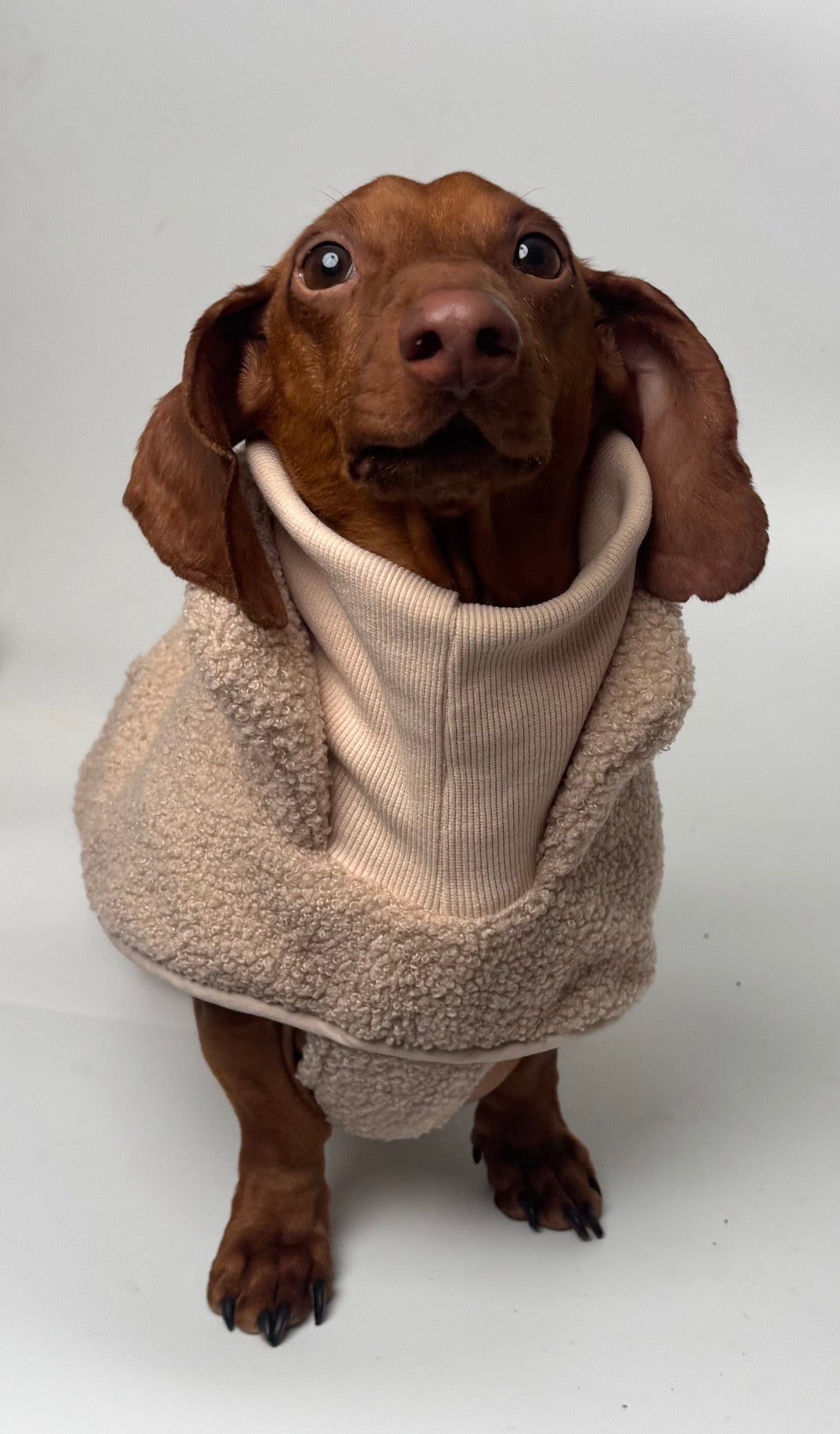 Tan sherpa turtleneck coat for dachshunds, view 6