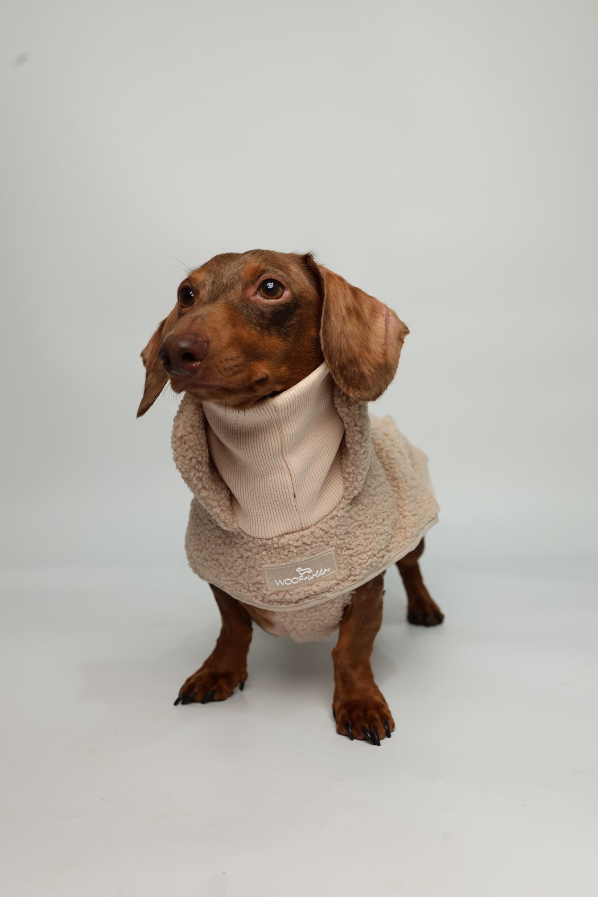 Tan sherpa turtleneck coat for dachshunds, view 7
