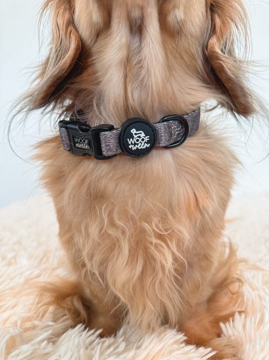 dachshund wearing a brown western pattern collar from woof and ween