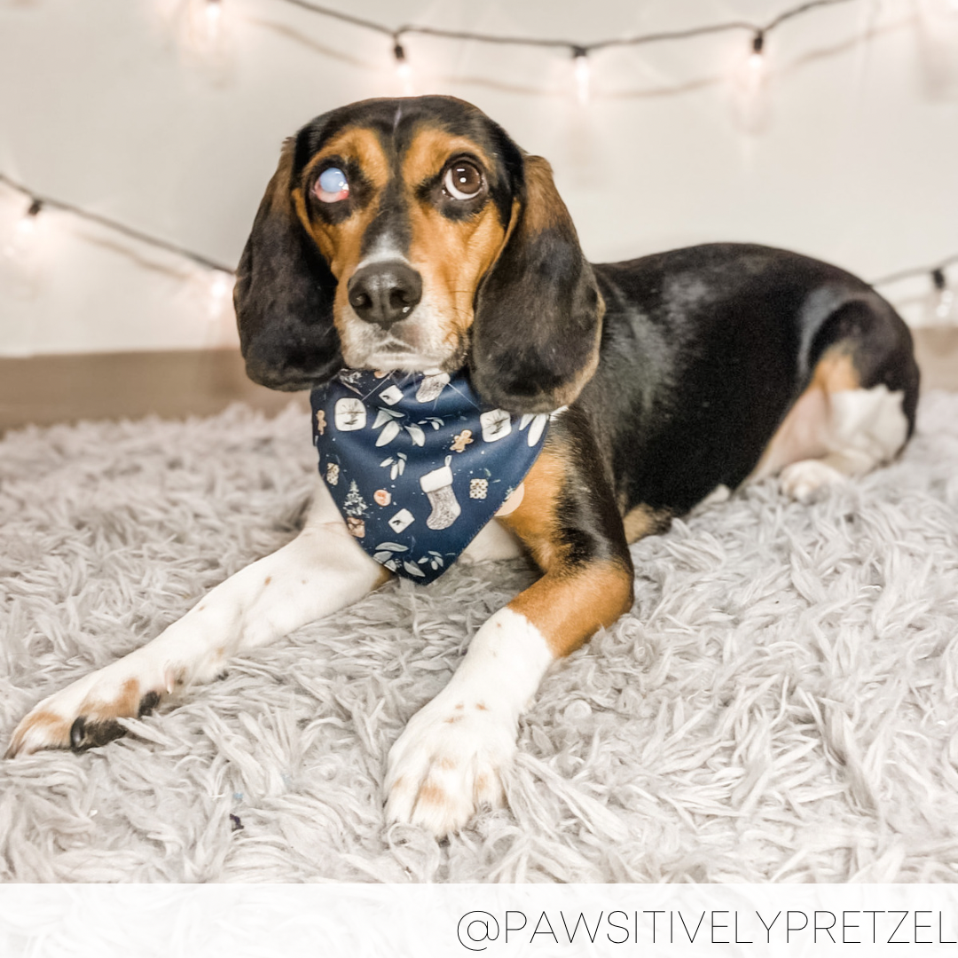 Bandana - COZY COTTAGE CHRISTMAS