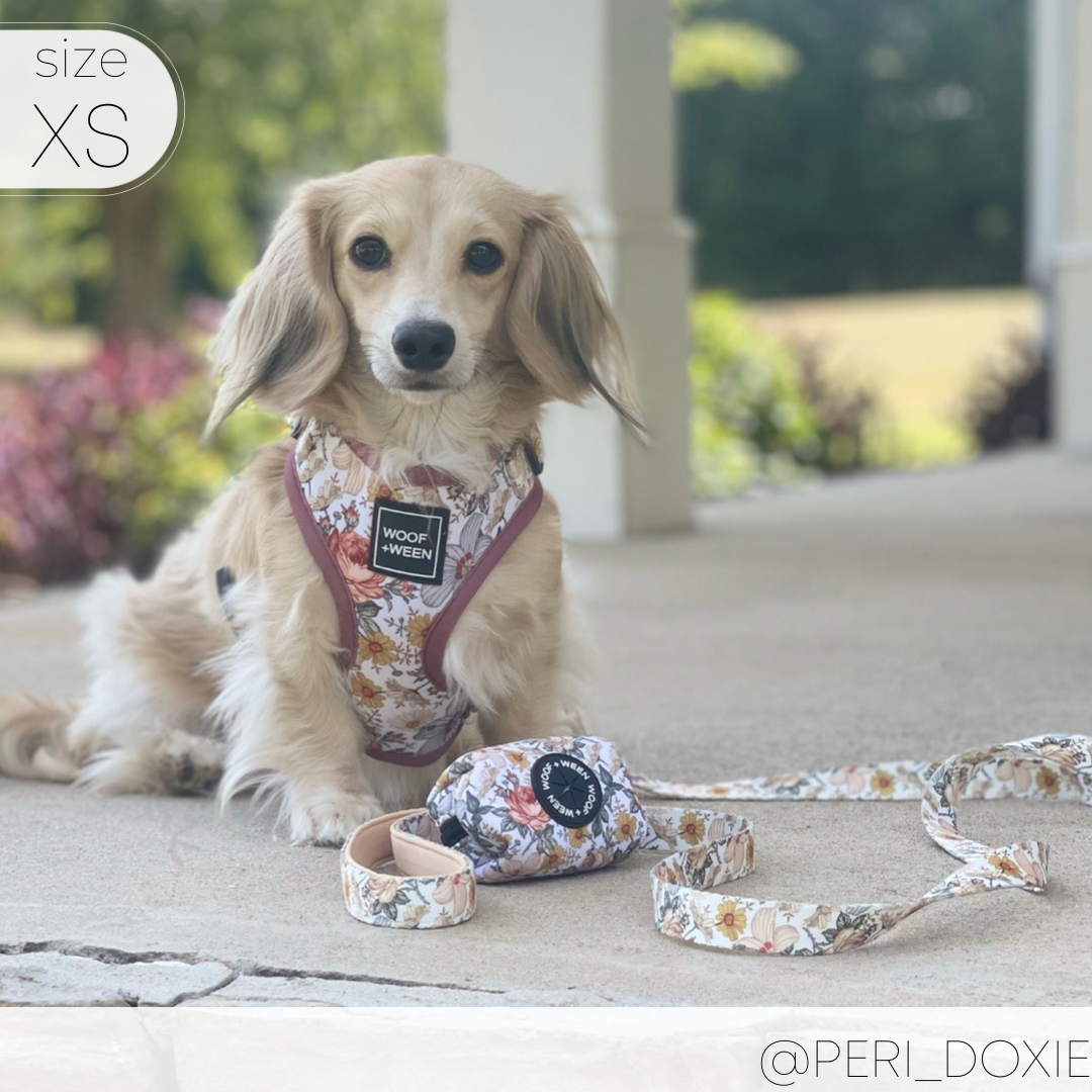 Adjustable Dog Harness FLOWER FIELDS – WOOF WEEN