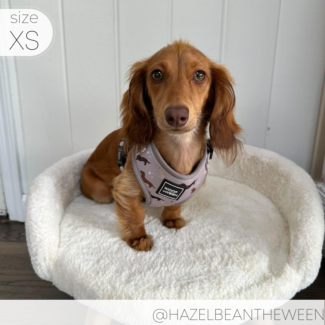 Harness for sales long haired dogs