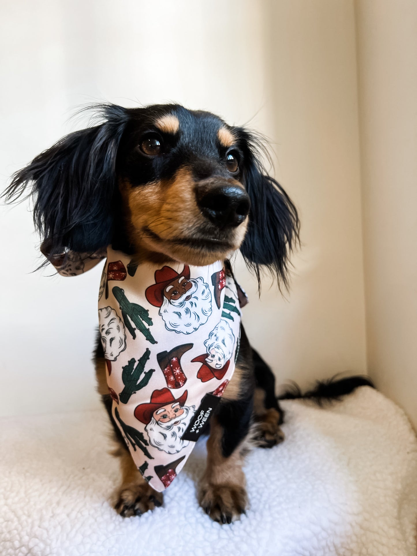 Bandana - SANTA PAWS