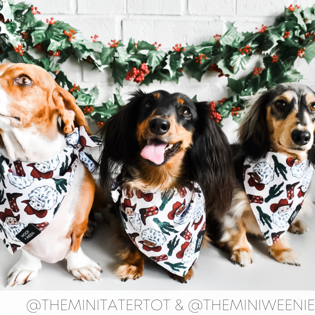 Bandana - SANTA PAWS