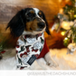 Bandana - SANTA PAWS