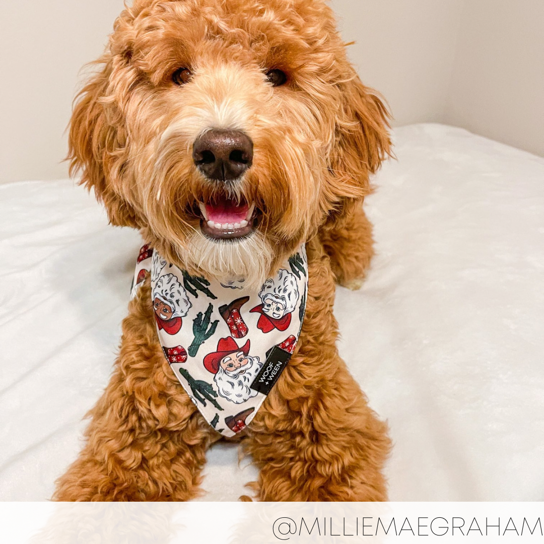Bandana - SANTA PAWS
