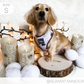 Adjustable Harness - ASPEN WOODS