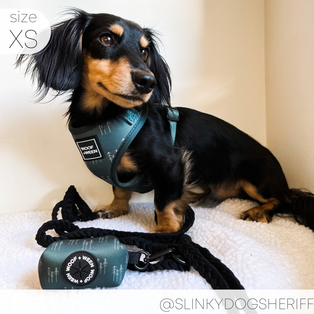 Julius K9 Dog Harness For Mini Dachshund Dachshund Puppy Best