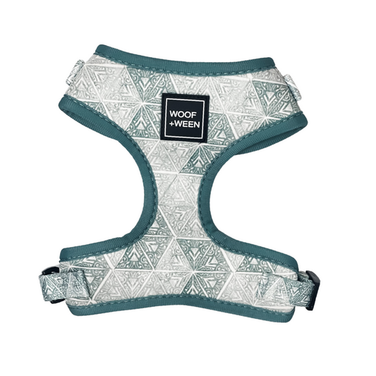 Adjustable Dog Harness - GEO DOGGO