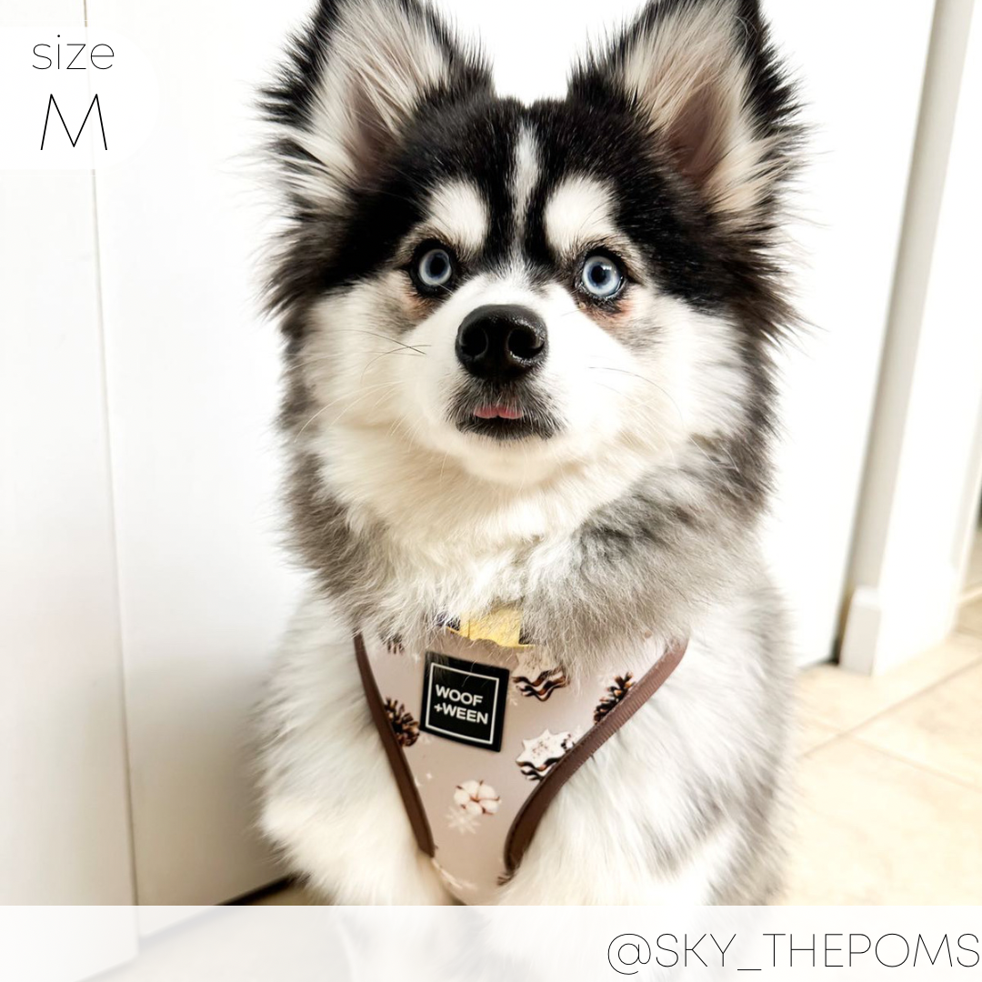 Adjustable Harness - ASPEN WOODS