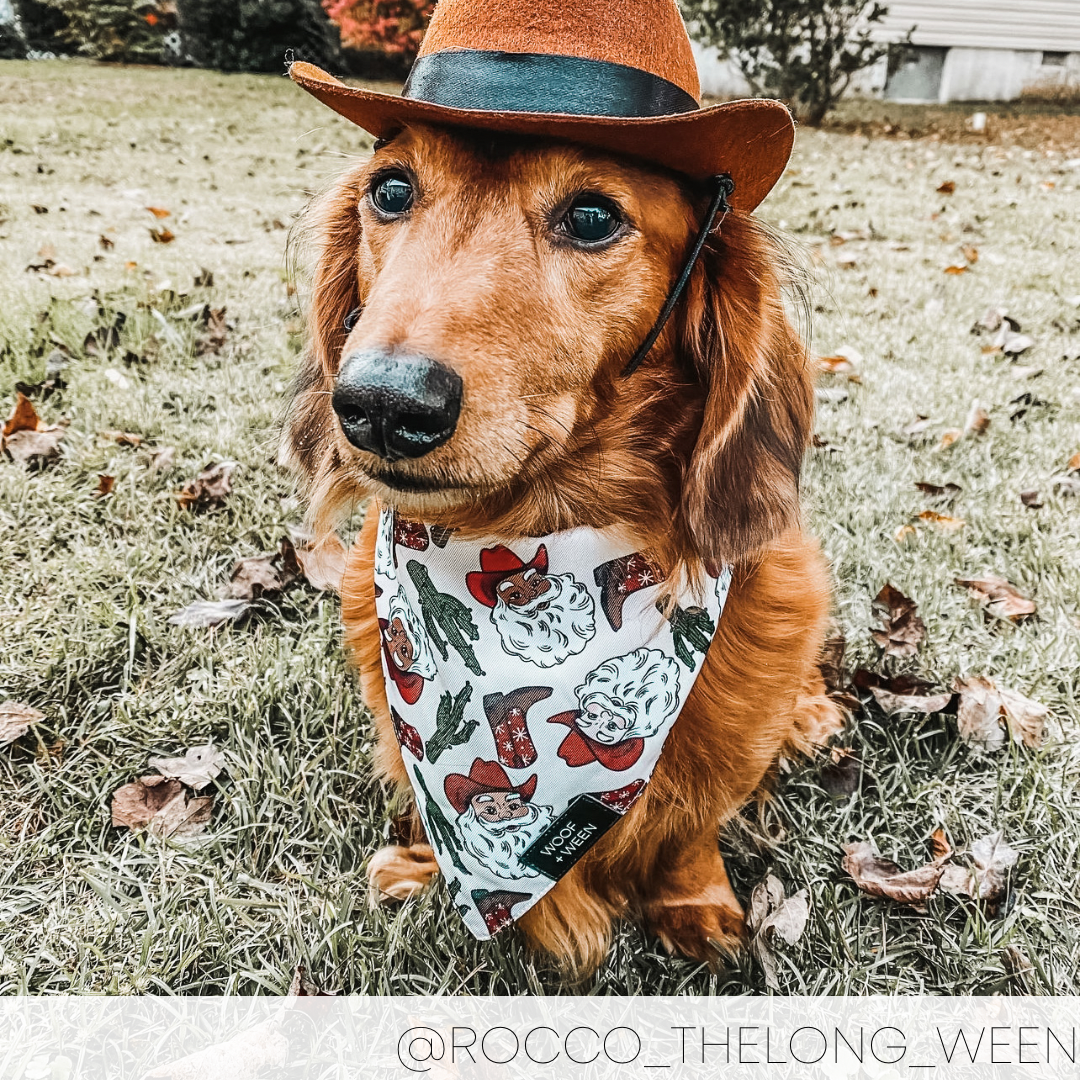 Bandana - SANTA PAWS