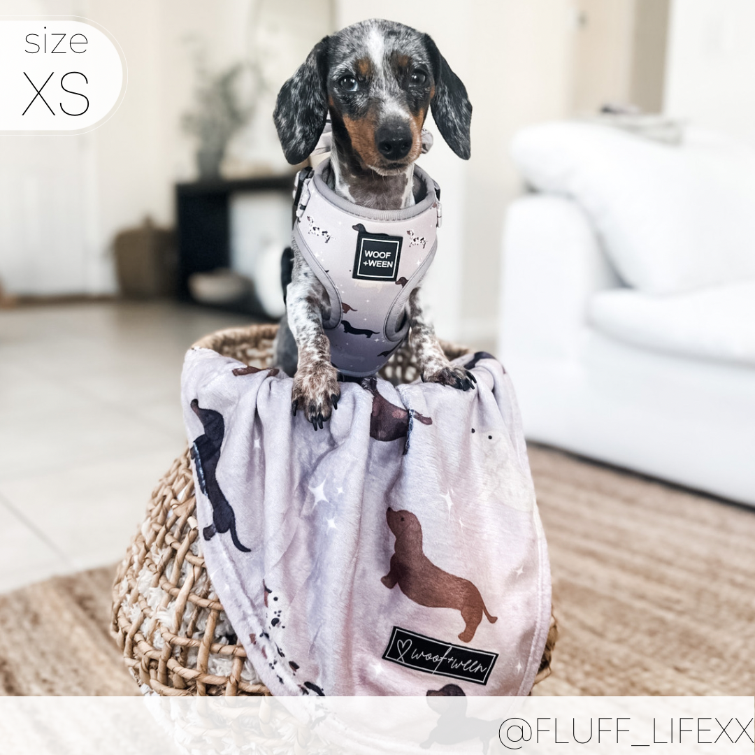 Weiner dog carrier hot sale